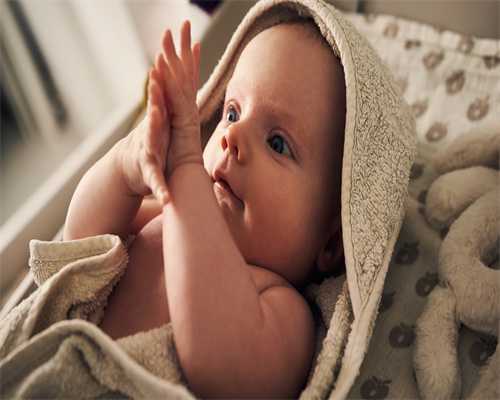 取卵之后为什么要多吃含有蛋白质的食物？