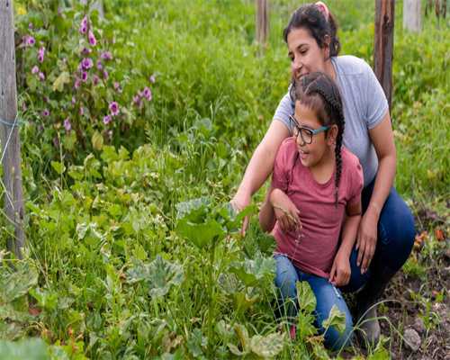 生育能力下降打算在厦门做试管，去哪家医院最好？
